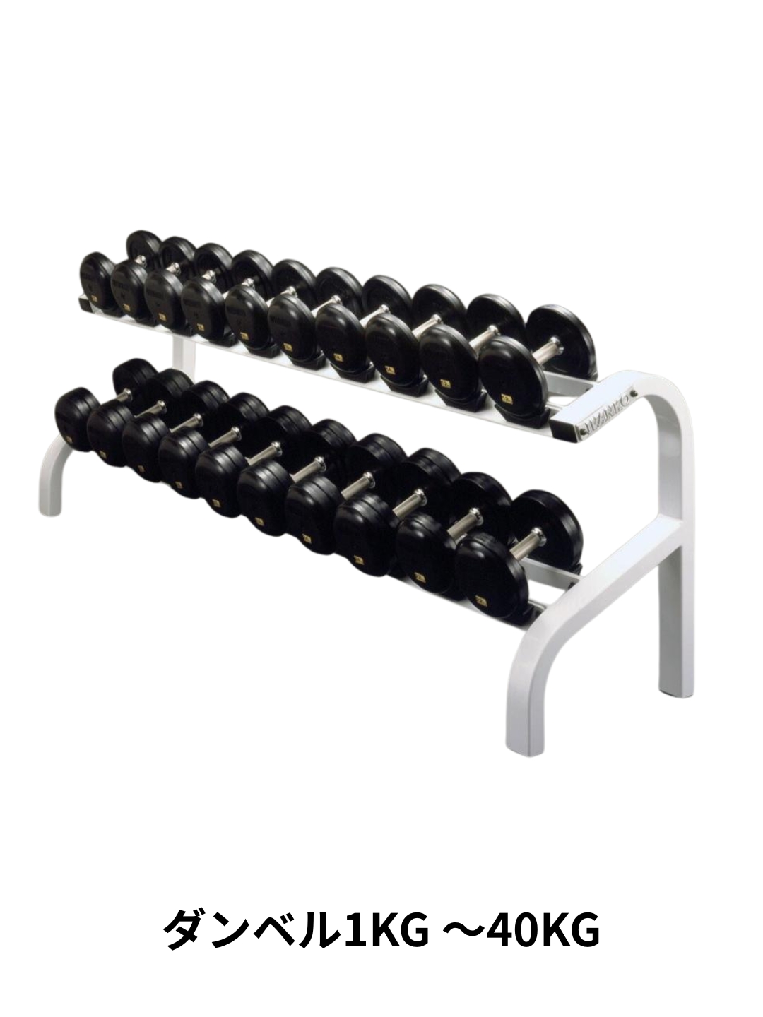 フリーウェイト10