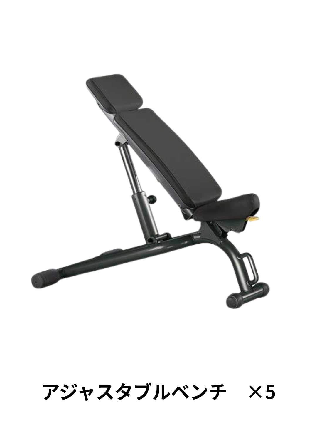 フリーウェイト11