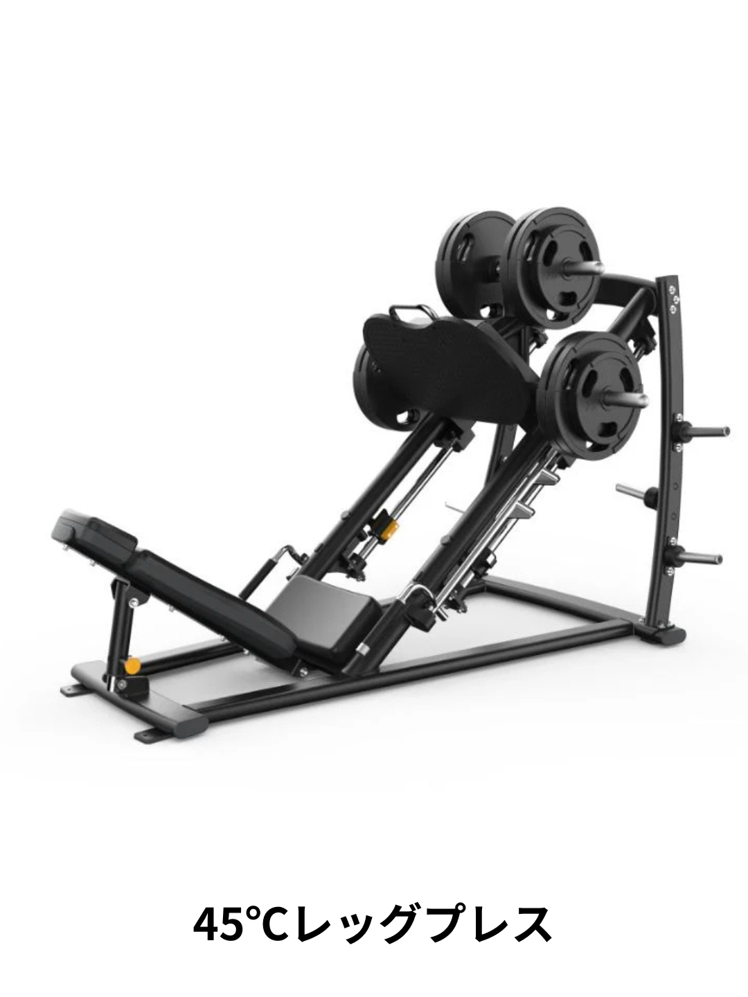 フリーウェイト12